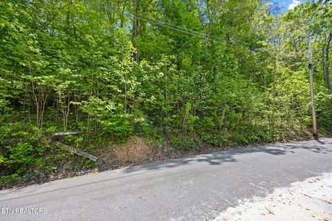 Tiny photo for 2 Hagaman Lane, Andersonville, TN 37705 (MLS # 1337291)