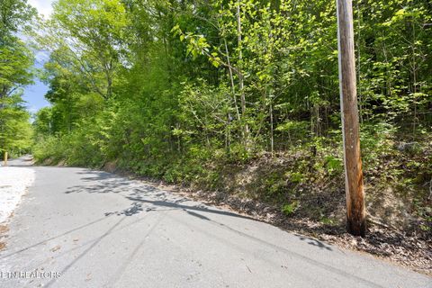 Tiny photo for 2 Hagaman Lane, Andersonville, TN 37705 (MLS # 1337291)