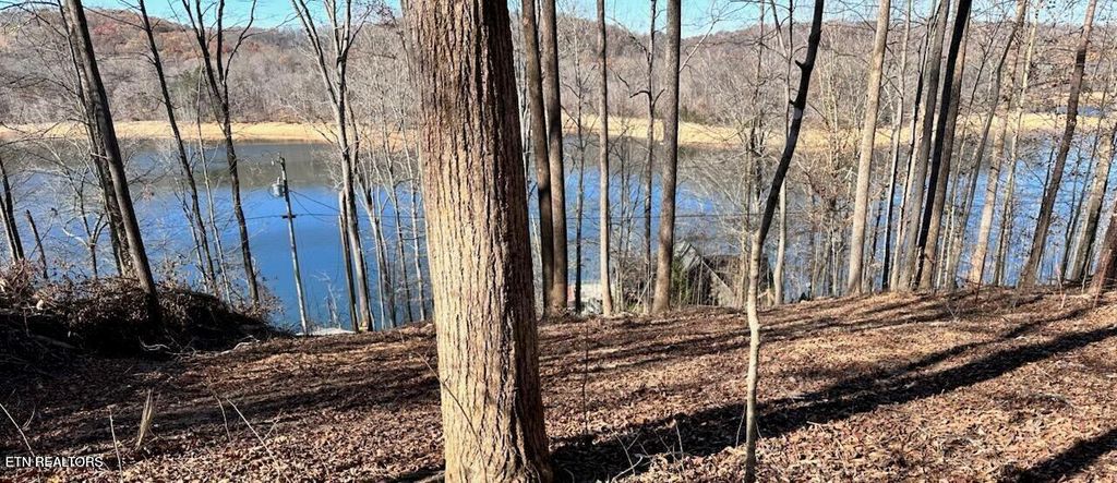 Photo of 2 Hagaman Lane, Andersonville, TN 37705 (MLS # 1337291)