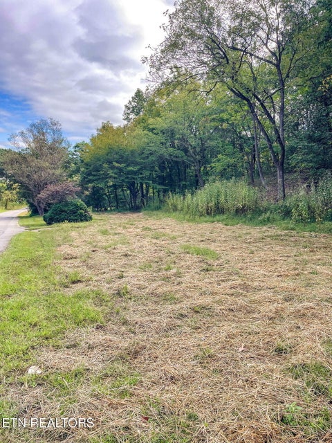 Tiny photo for 3142 Allegheny Loop Lots 1 & 2 Rd, Maryville, TN 37803 (MLS # 1360084)