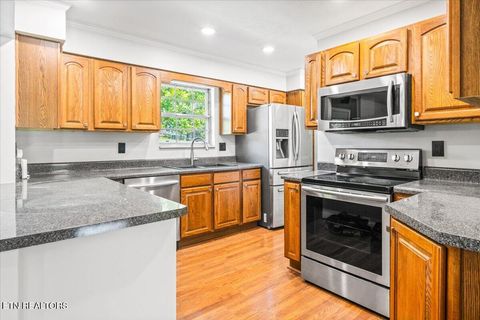 Tiny photo for 238 Kimberly Rd, LaFollette, TN 37766 (MLS # 1318428)