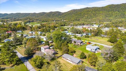 Tiny photo for 238 Kimberly Rd, LaFollette, TN 37766 (MLS # 1318428)