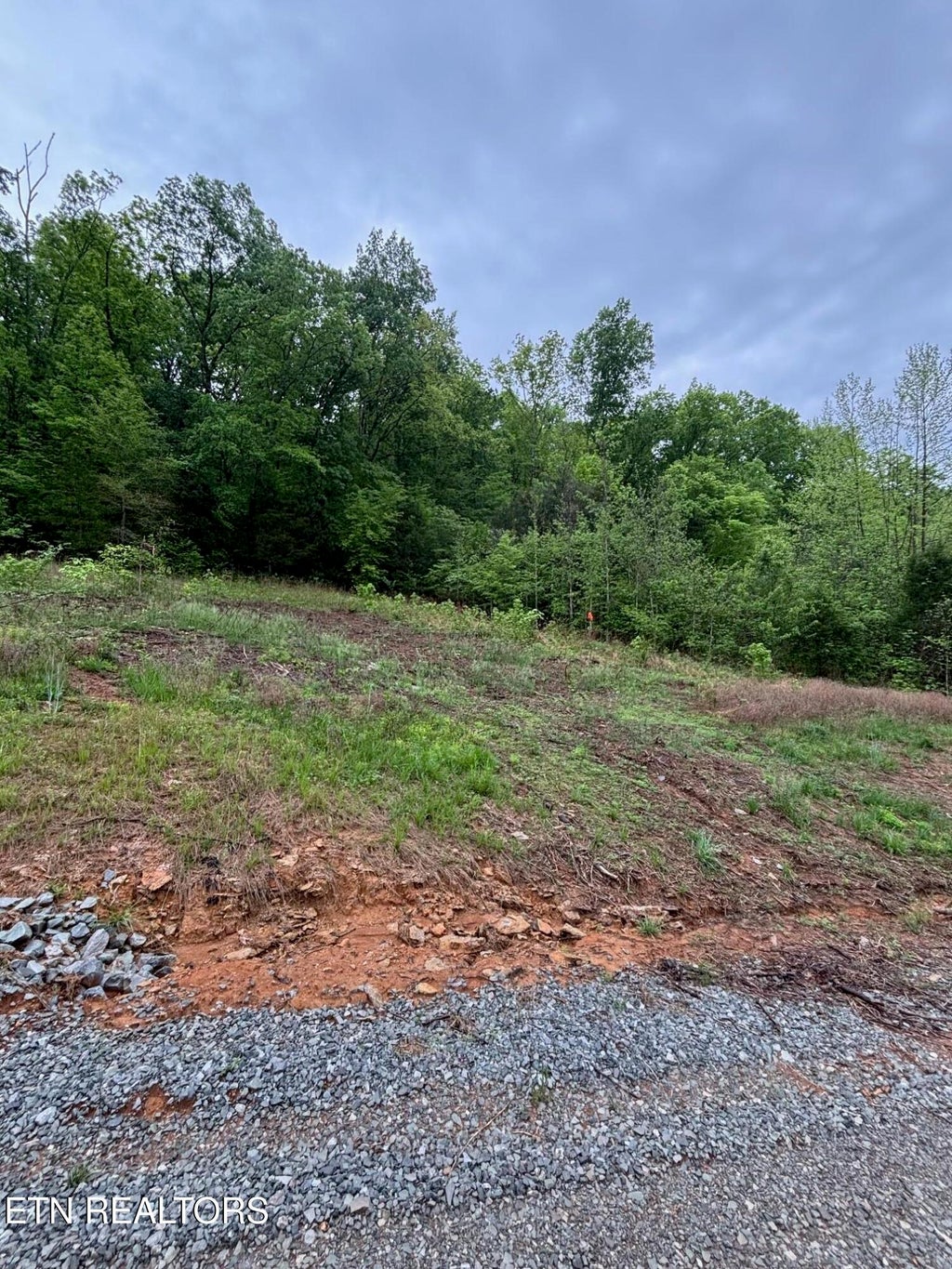 Photo of 00 Rolling Acres Lane, Dayton, TN 37321 (MLS # 1301345)
