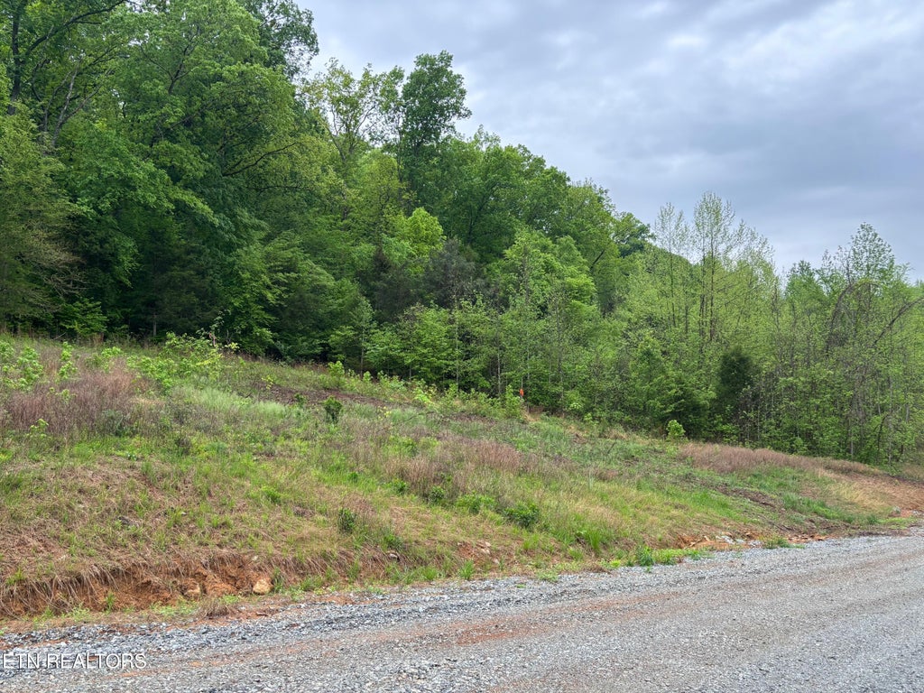 Photo of 00 Rolling Acres Lane, Dayton, TN 37321 (MLS # 1301345)
