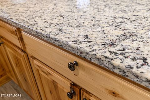 Tiny photo for 361 Holiday Lane, Tazewell, TN 37879 (MLS # 1320436)