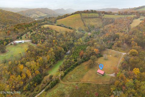 Tiny photo for 361 Holiday Lane, Tazewell, TN 37879 (MLS # 1320436)