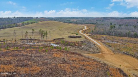 Tiny photo for Possom Trot Rd. - Tract 2, Grandview, TN 37337 (MLS # 1326740)
