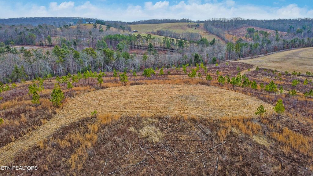 Photo of Possom Trot Rd. - Tract 2, Grandview, TN 37337 (MLS # 1326740)