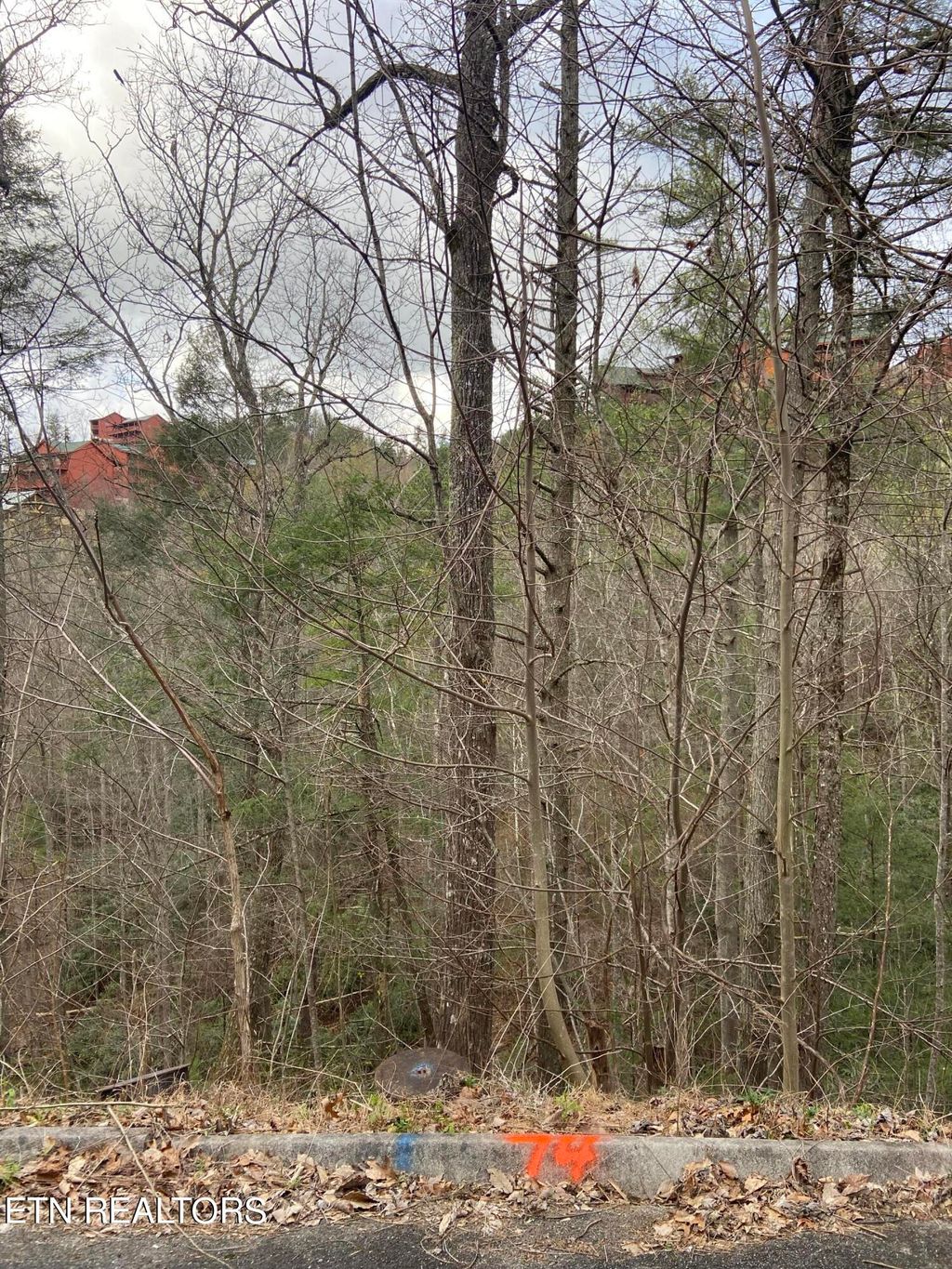Photo of Lot 74 Smoky Ridge Way, Sevierville, TN 37862 (MLS # 1279848)