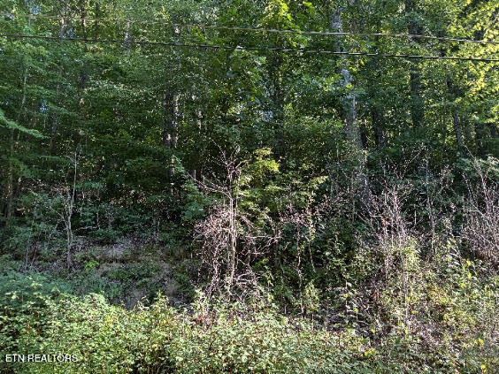 125 Gill Burgess Rd