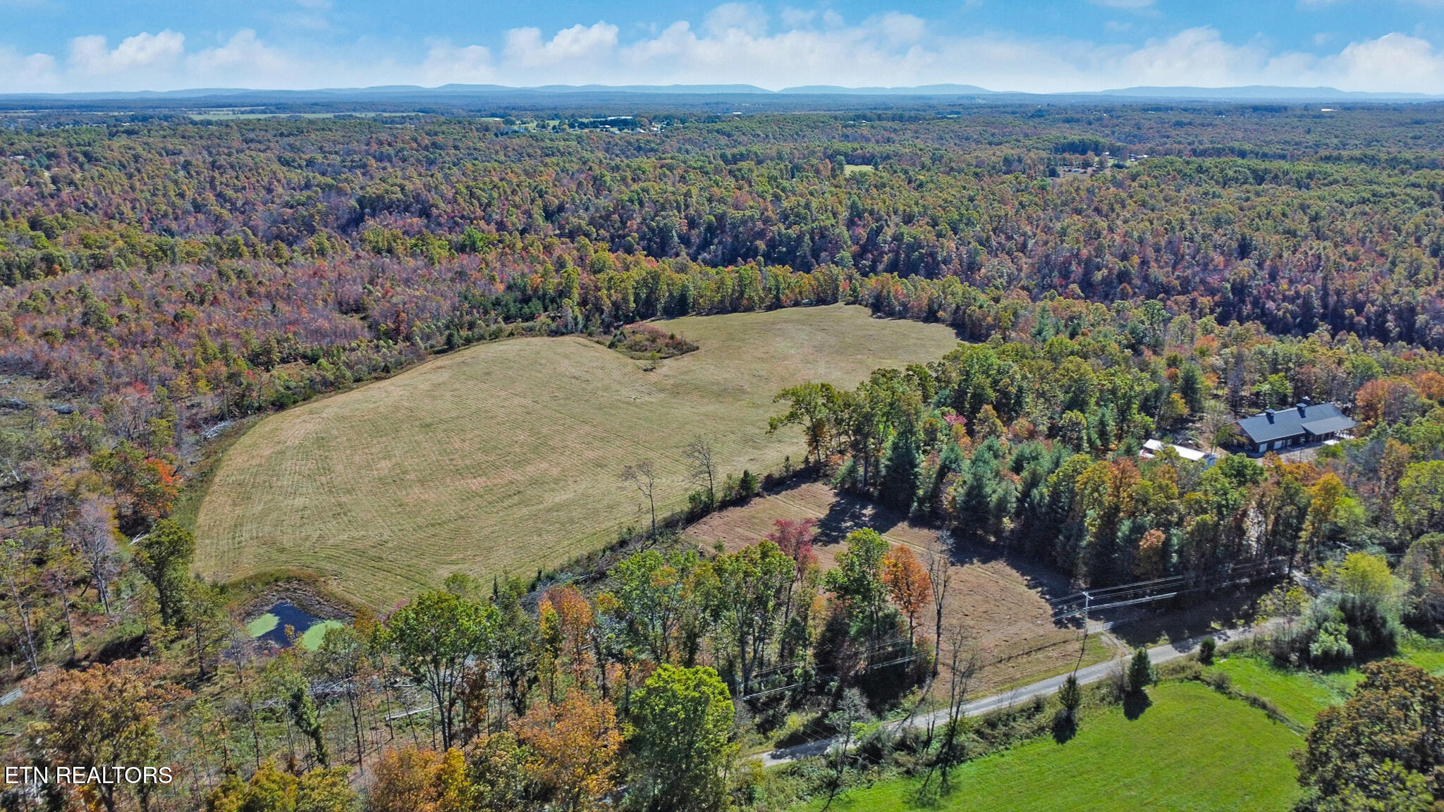 Hollow Lane - 35 Acres