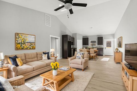 Tiny photo for 161 Greasy Cove Rd, Cosby, TN 37722 (MLS # 1327113)