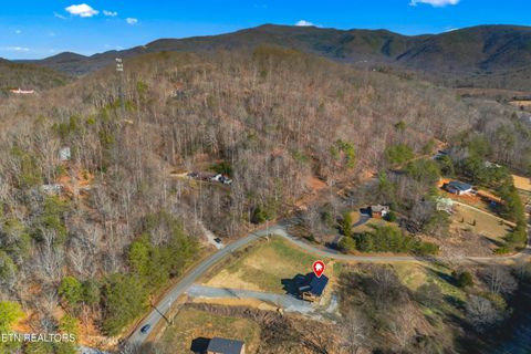 Tiny photo for 161 Greasy Cove Rd, Cosby, TN 37722 (MLS # 1327113)