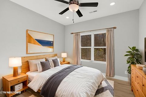 Tiny photo for 161 Greasy Cove Rd, Cosby, TN 37722 (MLS # 1327113)