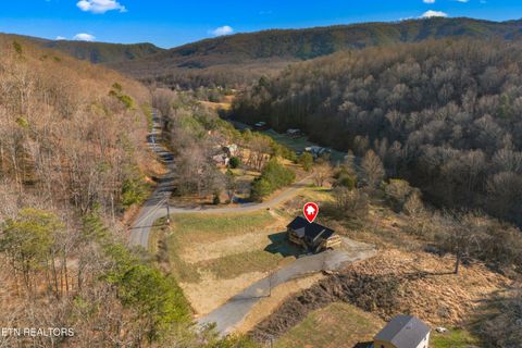 Tiny photo for 161 Greasy Cove Rd, Cosby, TN 37722 (MLS # 1327113)