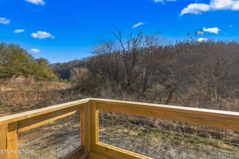 Tiny photo for 161 Greasy Cove Rd, Cosby, TN 37722 (MLS # 1327113)