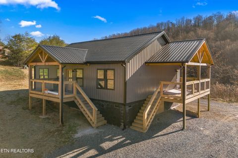 Tiny photo for 161 Greasy Cove Rd, Cosby, TN 37722 (MLS # 1327113)