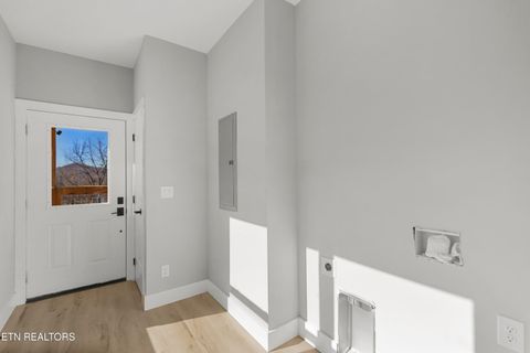 Tiny photo for 161 Greasy Cove Rd, Cosby, TN 37722 (MLS # 1327113)