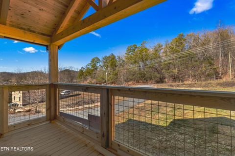 Tiny photo for 161 Greasy Cove Rd, Cosby, TN 37722 (MLS # 1327113)