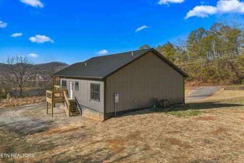 Tiny photo for 161 Greasy Cove Rd, Cosby, TN 37722 (MLS # 1327113)