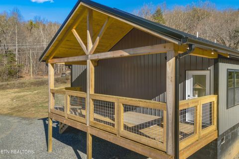 Tiny photo for 161 Greasy Cove Rd, Cosby, TN 37722 (MLS # 1327113)