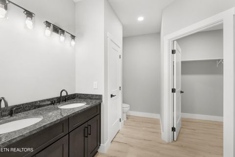 Tiny photo for 161 Greasy Cove Rd, Cosby, TN 37722 (MLS # 1327113)