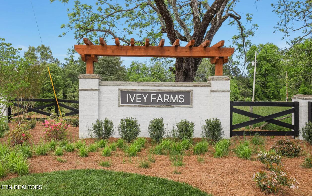 405 Ivey Farms Lane (Lot 58)