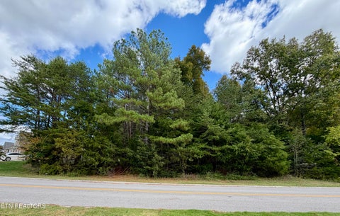 Tiny photo for Bradford Village Way #Lot 40, Kingston, TN 37763 (MLS # 1359268)