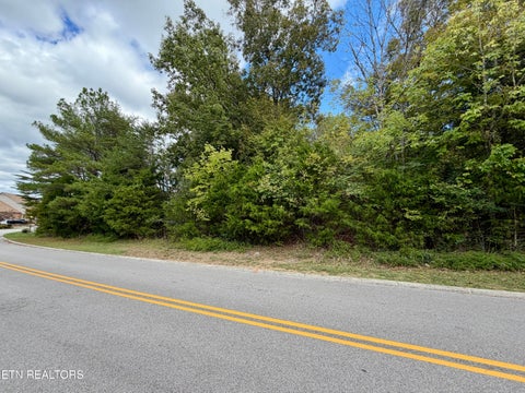 Tiny photo for Bradford Village Way #Lot 40, Kingston, TN 37763 (MLS # 1359268)