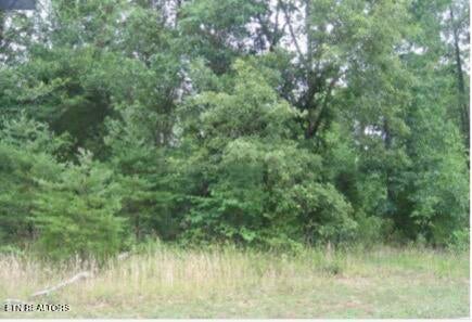 Tiny photo for Bradford Village Way #Lot 40, Kingston, TN 37763 (MLS # 1359268)
