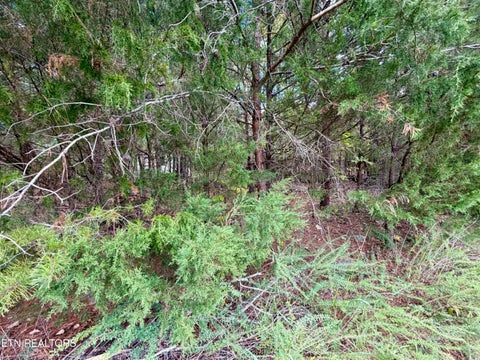 Tiny photo for Bradford Village Way #Lot 40, Kingston, TN 37763 (MLS # 1359268)