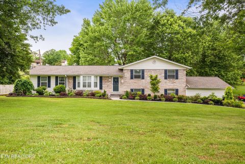 Photo of 905 N East End Rd, Strawberry Plains, TN 37871 (MLS # 1342160)