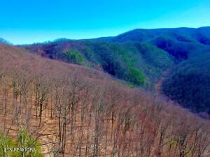 Tiny photo for Lots 1-A, 2-A, 3-A Ravens Den, Sevierville, TN 37862 (MLS # 1355958)
