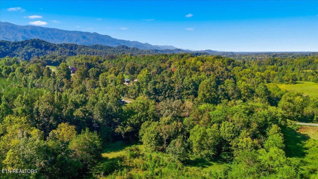 Photo of Ellejoy Rd, Seymour, TN 37865 (MLS # 1355380)