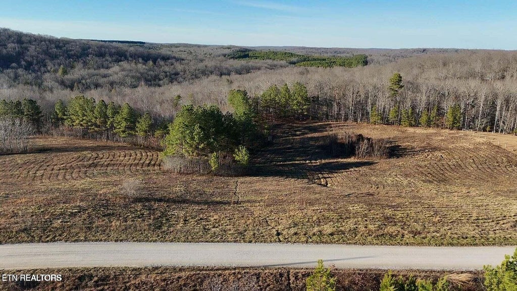 Photo of 23 Honey Creek Loop Rd, Robbins, TN 37852 (MLS # 1345097)