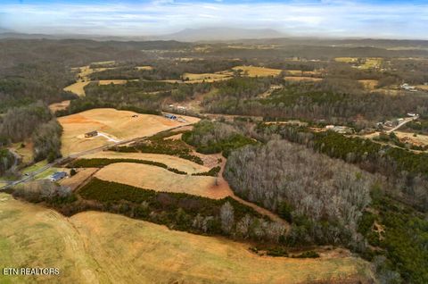 Tiny photo for 545 Lonesome Pine Rd, Bybee, TN 37713 (MLS # 1326834)