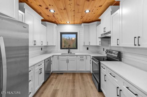 Tiny photo for 545 Lonesome Pine Rd, Bybee, TN 37713 (MLS # 1326834)