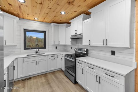 Tiny photo for 545 Lonesome Pine Rd, Bybee, TN 37713 (MLS # 1326834)