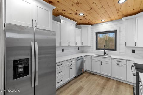 Tiny photo for 545 Lonesome Pine Rd, Bybee, TN 37713 (MLS # 1326834)