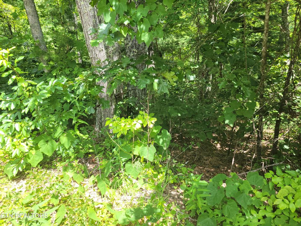 Photo of 20 Hickory Tree St, Sevierville, TN 37876 (MLS # 1308329)