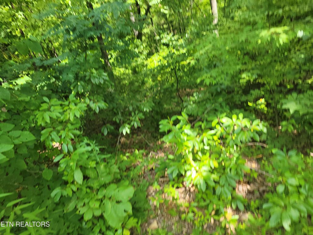 Photo of 20 Hickory Tree St, Sevierville, TN 37876 (MLS # 1308329)