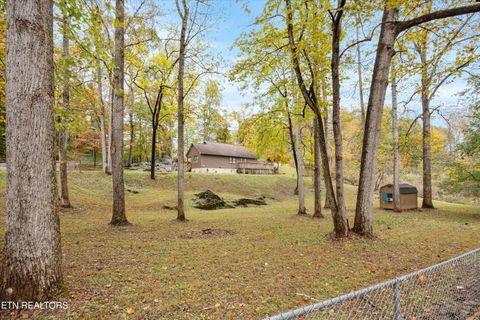 Tiny photo for 777 Lindsey Mill Circle, Rocky Top, TN 37769 (MLS # 1320097)