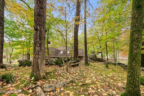 Tiny photo for 777 Lindsey Mill Circle, Rocky Top, TN 37769 (MLS # 1320097)