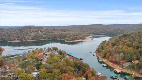 Tiny photo for 777 Lindsey Mill Circle, Rocky Top, TN 37769 (MLS # 1320097)