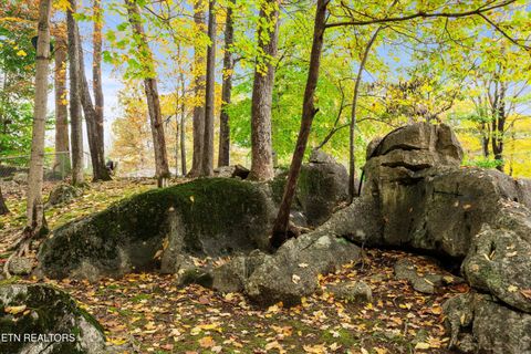 Tiny photo for 777 Lindsey Mill Circle, Rocky Top, TN 37769 (MLS # 1320097)