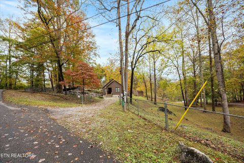 Tiny photo for 777 Lindsey Mill Circle, Rocky Top, TN 37769 (MLS # 1320097)