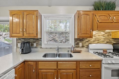 Tiny photo for 777 Lindsey Mill Circle, Rocky Top, TN 37769 (MLS # 1320097)