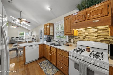 Tiny photo for 777 Lindsey Mill Circle, Rocky Top, TN 37769 (MLS # 1320097)