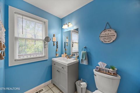 Tiny photo for 777 Lindsey Mill Circle, Rocky Top, TN 37769 (MLS # 1320097)