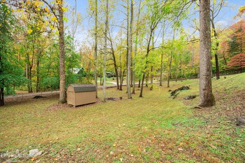 Tiny photo for 777 Lindsey Mill Circle, Rocky Top, TN 37769 (MLS # 1320097)
